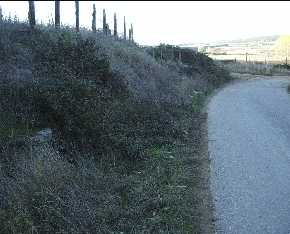 Foto Jrf, noviembre 2004