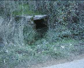 Foto Jrf, noviembre 2004